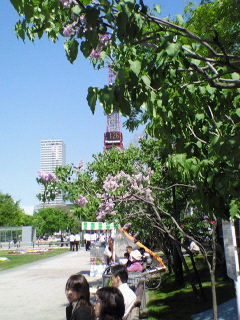 画像の説明