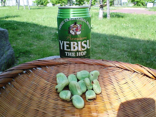 使用後のビール